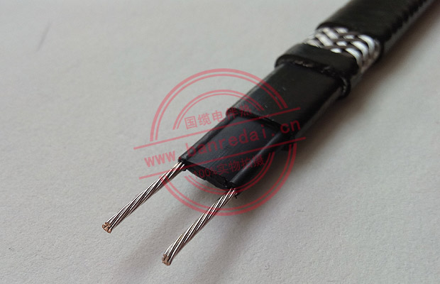 低溫型自限溫電伴熱帶結構圖