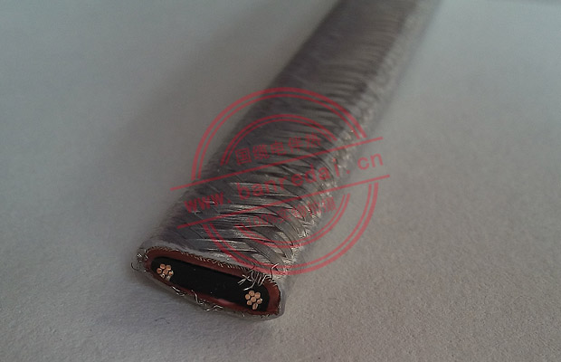 中溫自限溫電伴熱帶細節(jié)